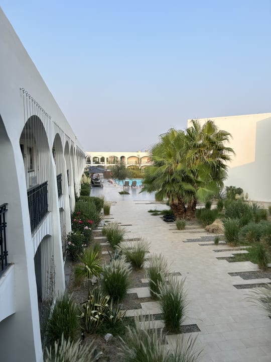 Gartenanlage Best Western Plus Hotel Plaza Juarez