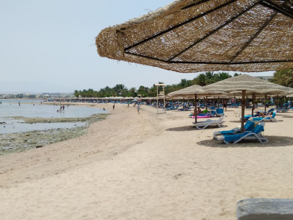 Strand Fort Arabesque Resort, Spa & Villas