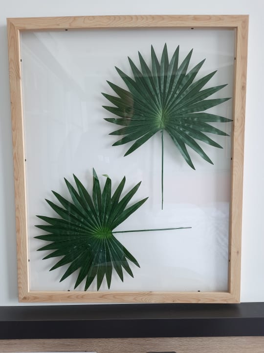 Sonstiges Hotel Convictus Cracovia for business & travellers