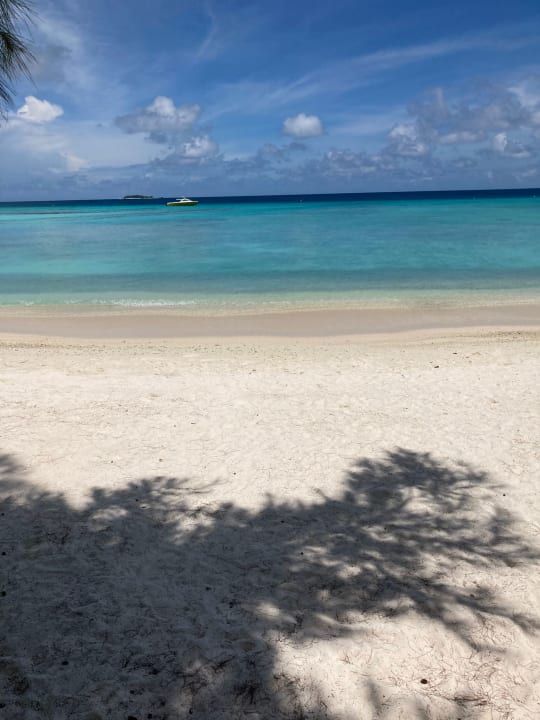 Strand Summer Island Maldives