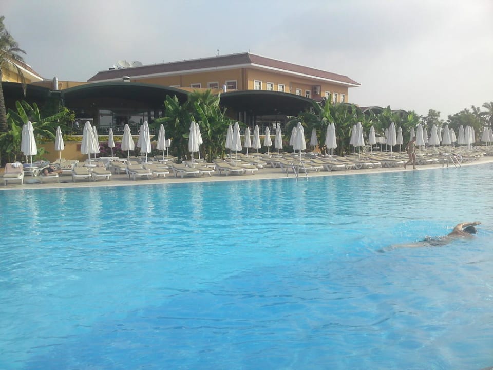 Schöner, sauberer Pool Crystal Paraiso Aqua Collection