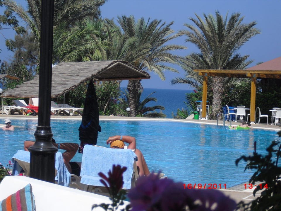 Pool mit Blick aufs Meer Crystal Springs Beach Hotel