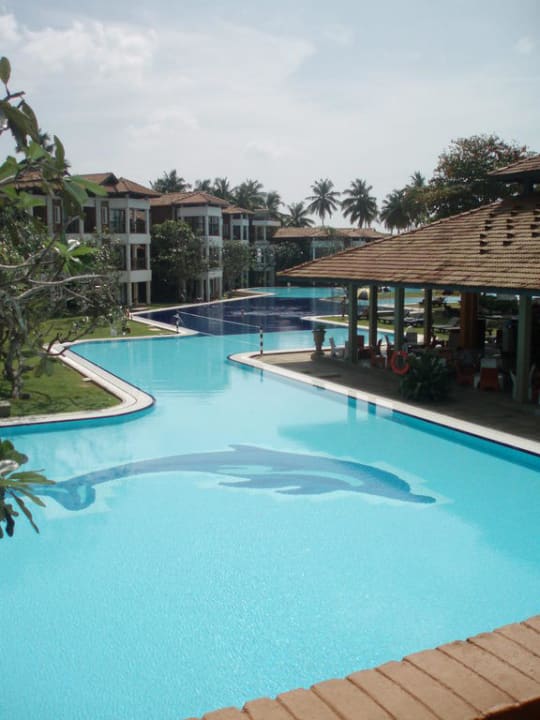 Einer der Pools Club Hotel Dolphin