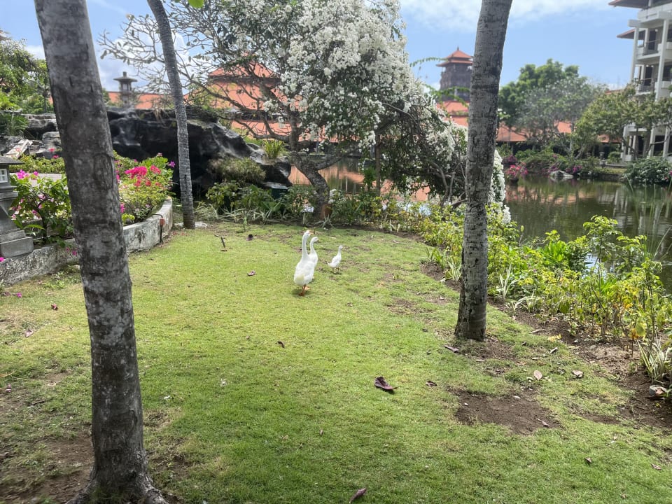 Gartenanlage Ayodya Resort Bali