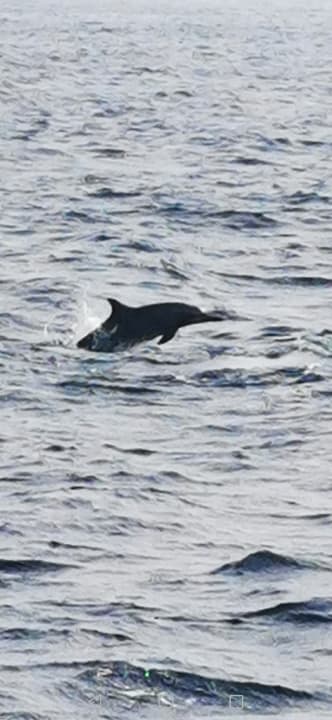 Strand Adaaran Select Hudhuran Fushi - Premium All Inclusive