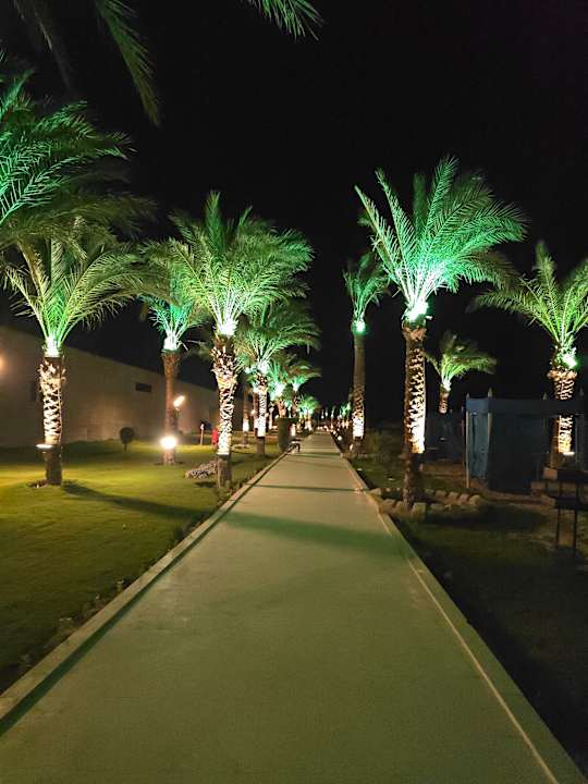 Gartenanlage Gravity Hotel & Aqua Park Hurghada
