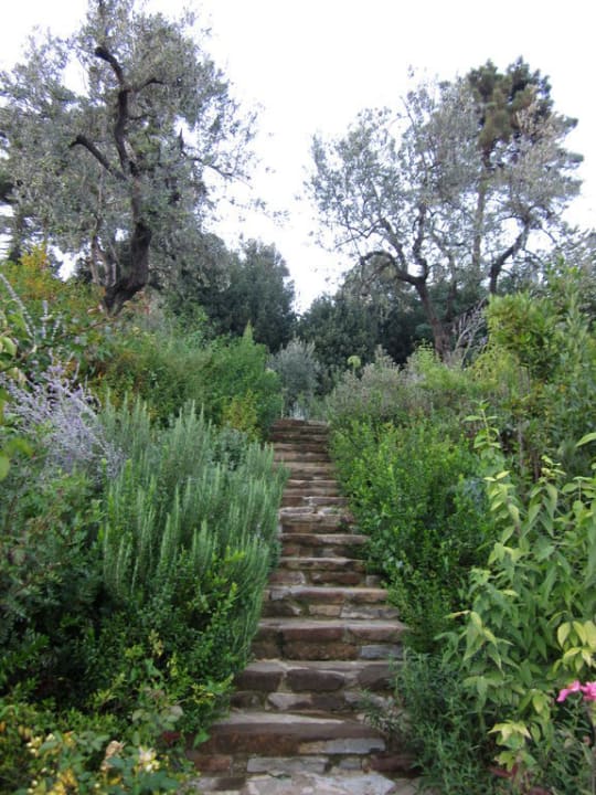 Garten mit frischen Kräutern und anderen Pflanzen Hotel Il Podere di Toscana