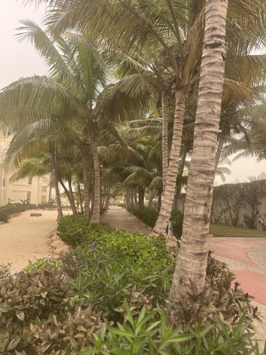 Gartenanlage Hotel Riu Karamboa