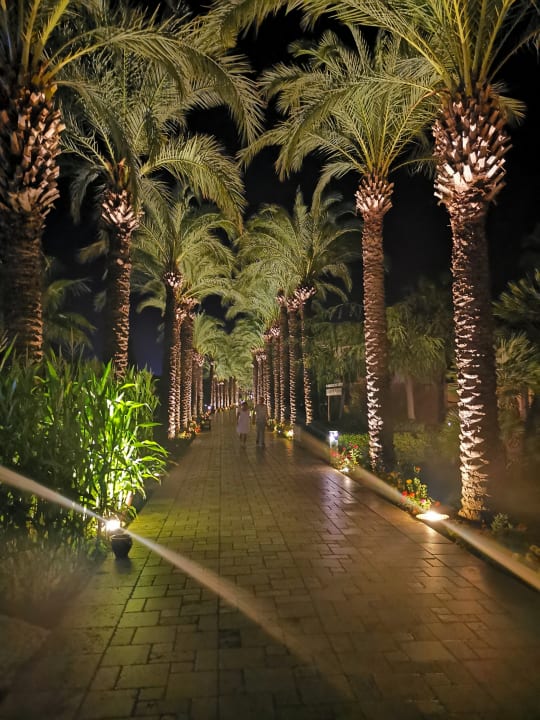 Gartenanlage TUI BLUE Palm Garden