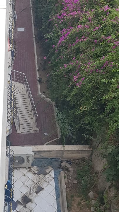 Ausblick Royal Arena Resort & Spa