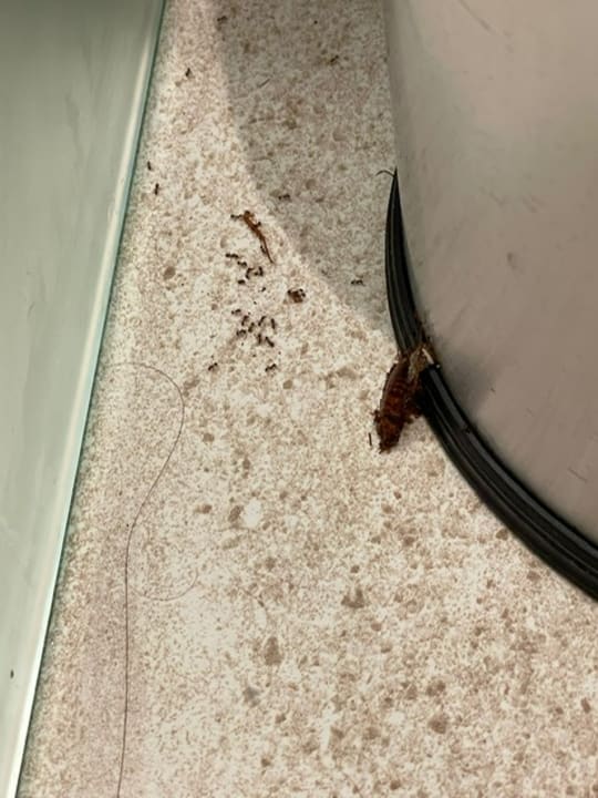 Zimmer Lopesan Costa Bávaro Resort, Spa & Casino