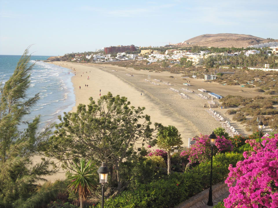 Ausblick von der Terrasse zum Hotelstrand SBH Hotel Taro Beach