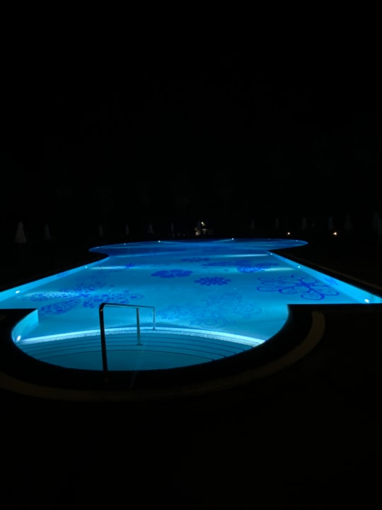 Pool Papillon Belvil