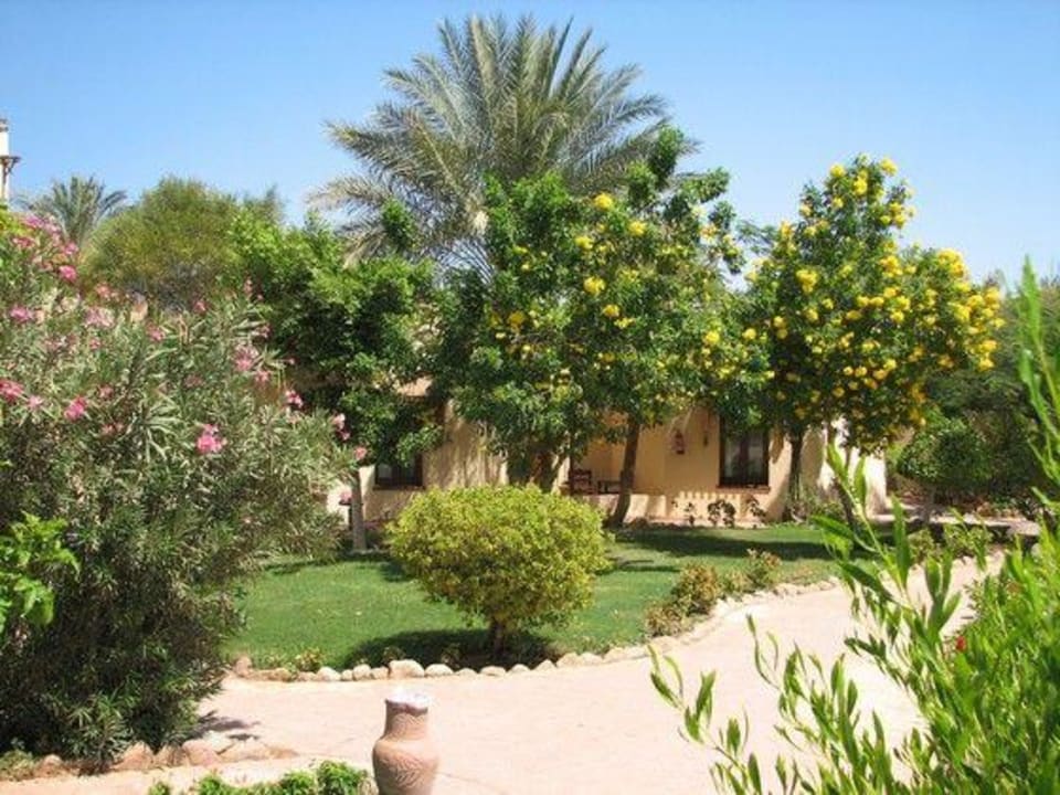 Inna czesc ogrodu Hotel Nubian Village