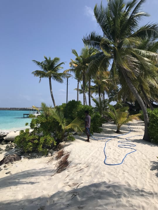 Strand Centara Ras Fushi Resort & Spa Maldives