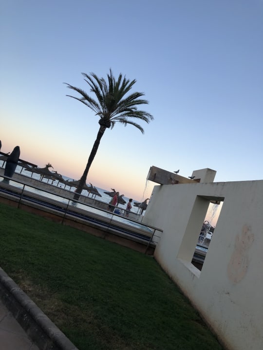 Strand CM Playa del Moro