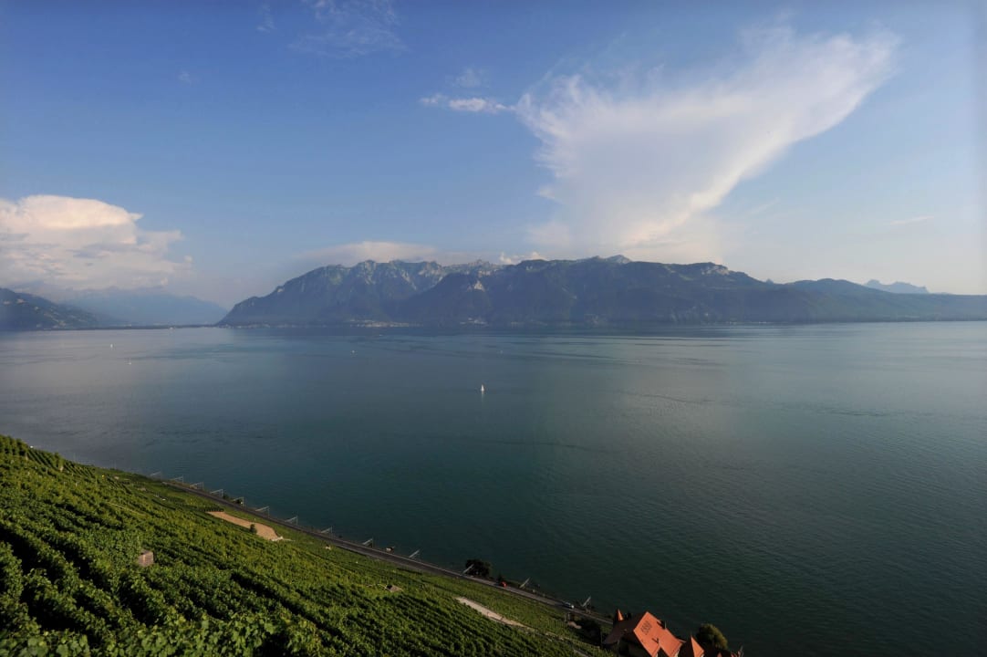 Vue Dézaley Auberge de la Gare