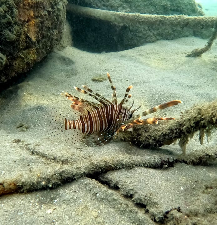 Strand Brayka Bay Resort