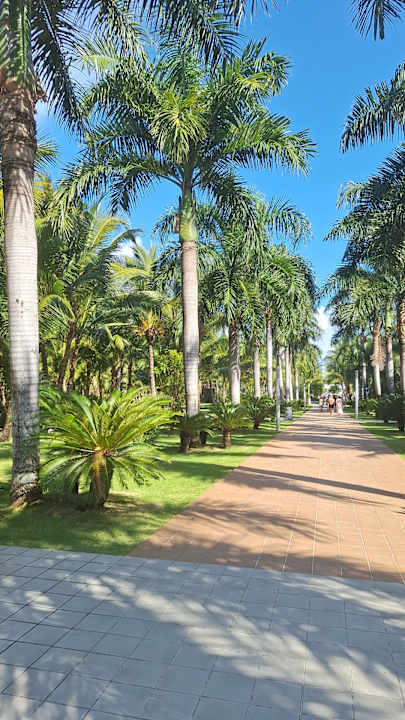 Außenansicht Hotel Riu Republica - Adults only