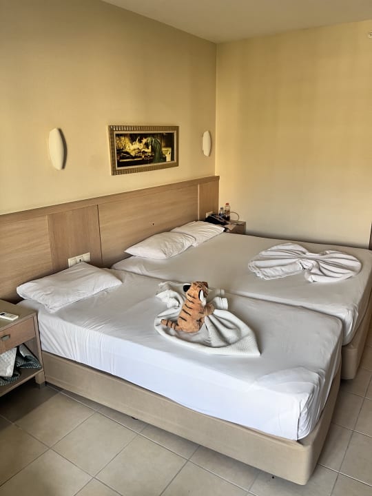 Zimmer Can Garden Resort