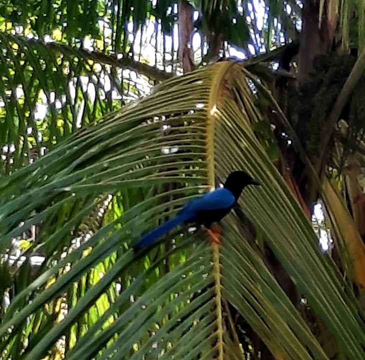 Sonstiges Akumal Bay Beach & Wellness Resort