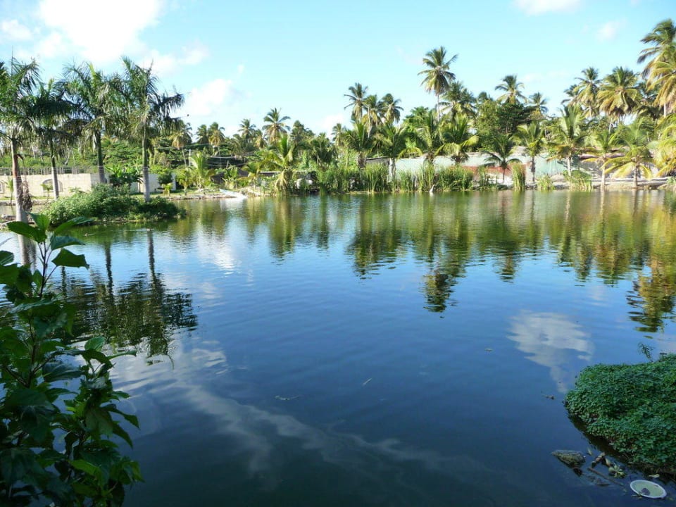 Teich Villas Bavaro Resort & Spa