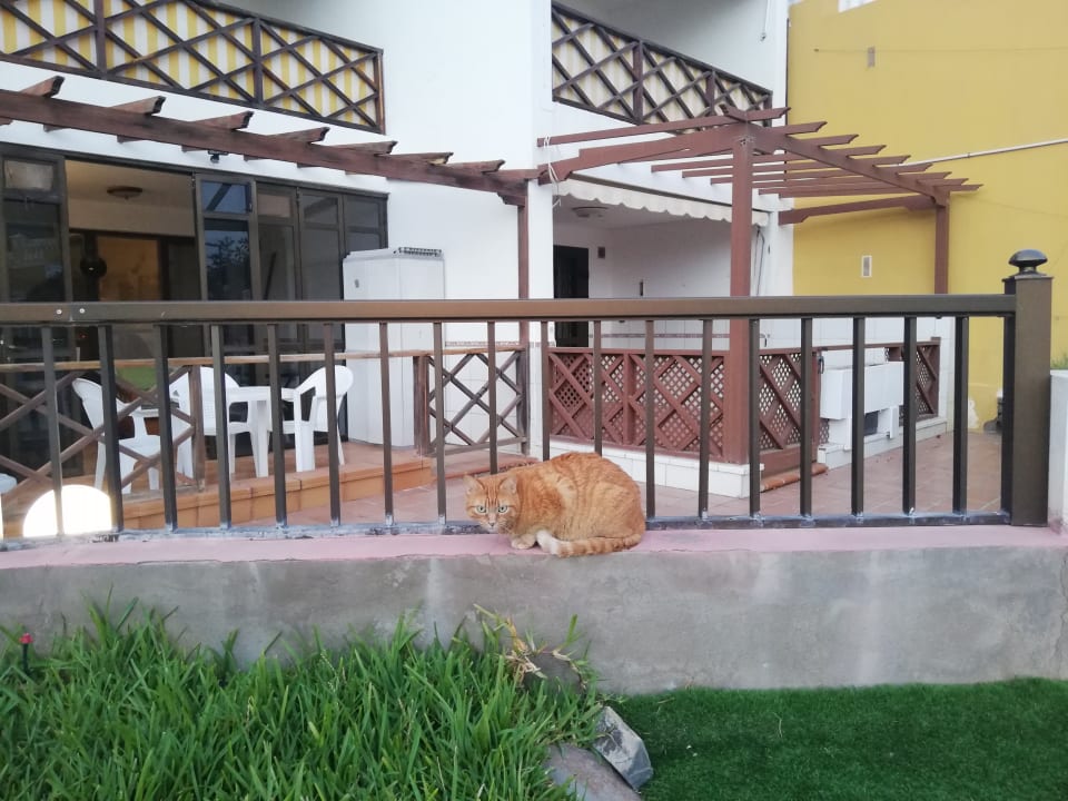 Außenansicht Apartamento Neptuno playa 12
