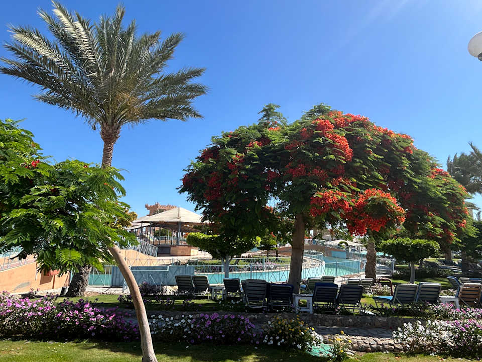 Gartenanlage Akassia Swiss Resort