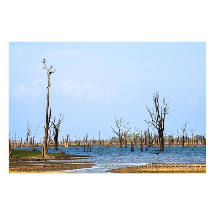 Sonstiges Nanzhila Plains Safari Camp