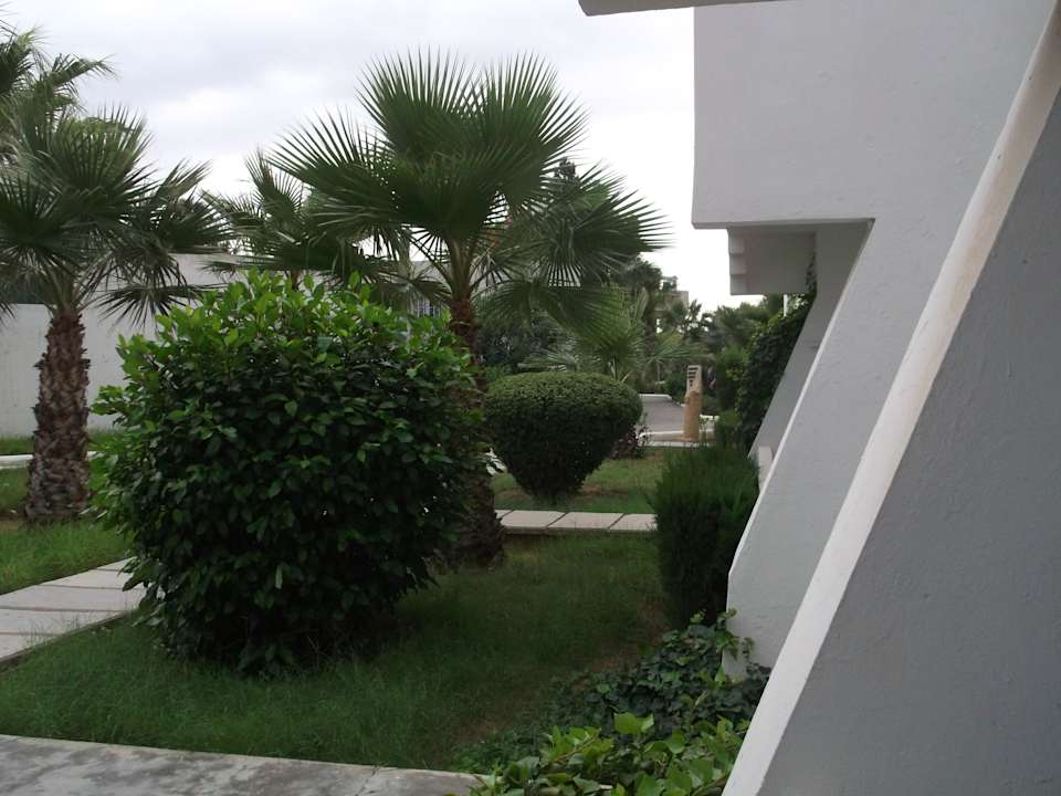 Vom Balkon in die Anlage Alassio Hotel and Thalasso