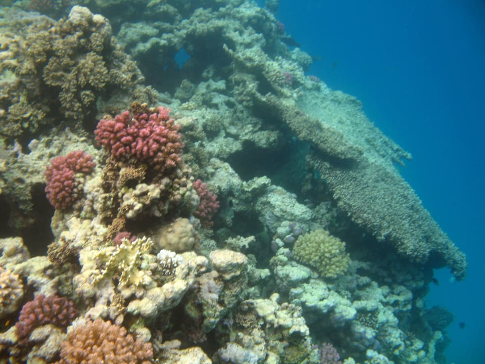 52 Stella Beach Resort & Spa Makadi Bay