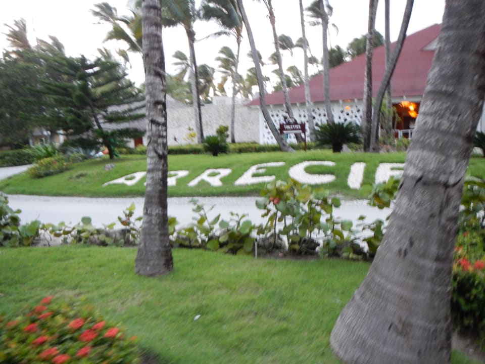 Mittagsbüffet Grand Palladium Select Bávaro Resort & Spa