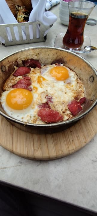 Gastro Acanthus Cennet Barut Collection