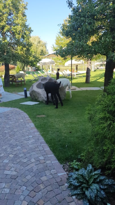 Gartenanlage Gartenhotel Moser