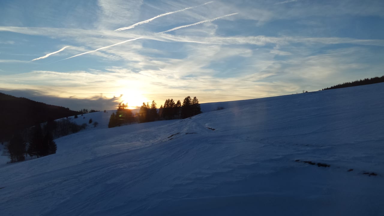 Ausblick vom Balkon derWaldfrieden naturparkhotel