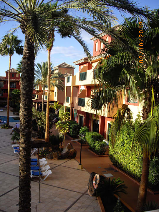 Ausblick vom Balkon BLUESEA Aloe Corralejo