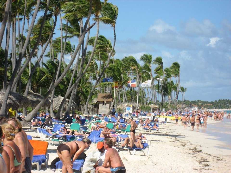 Der "einsame Traumstrand" mit Sardinen-Feeling Grand Palladium Select Bávaro Resort & Spa