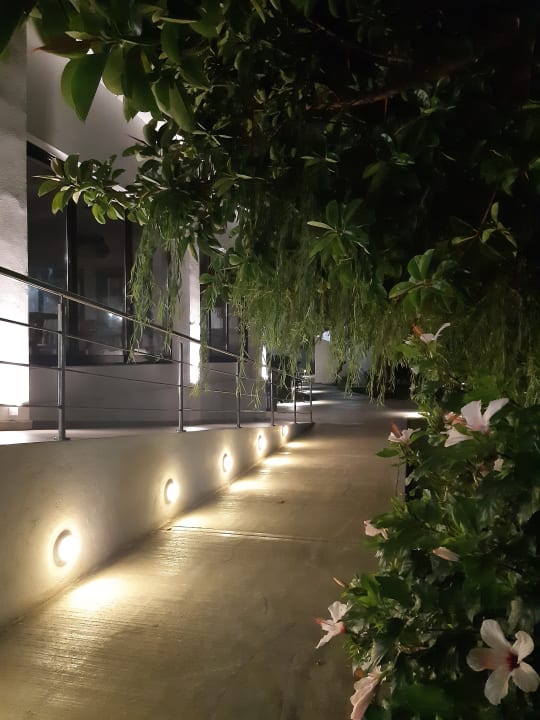 Gartenanlage Summer Village of Hippokrates - Adults only