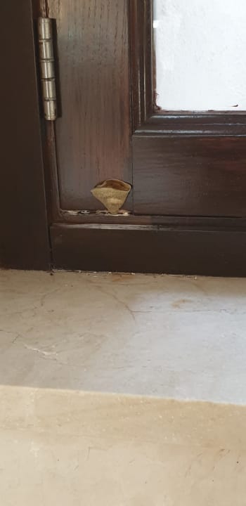 Gastro R2 Lago Playa Park