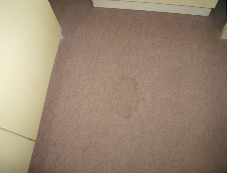 So sahen die Teppiche aus! Landhotel Gödeke