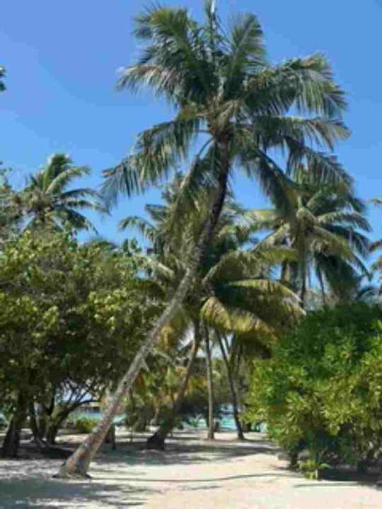 Sonstiges Adaaran Select Hudhuran Fushi - Premium All Inclusive