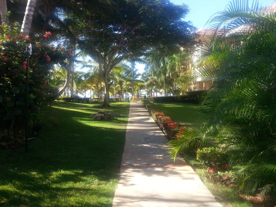 Schöne Gartenanlage Hotel Viva Dominicus Palace by Wyndham-All Inclusive Resort