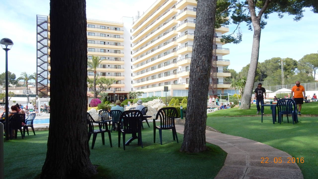 Garten am Pool BQ Belvedere Hotel