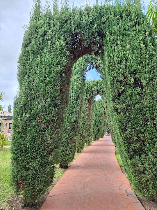 Gartenanlage allsun Hotel Esplendido