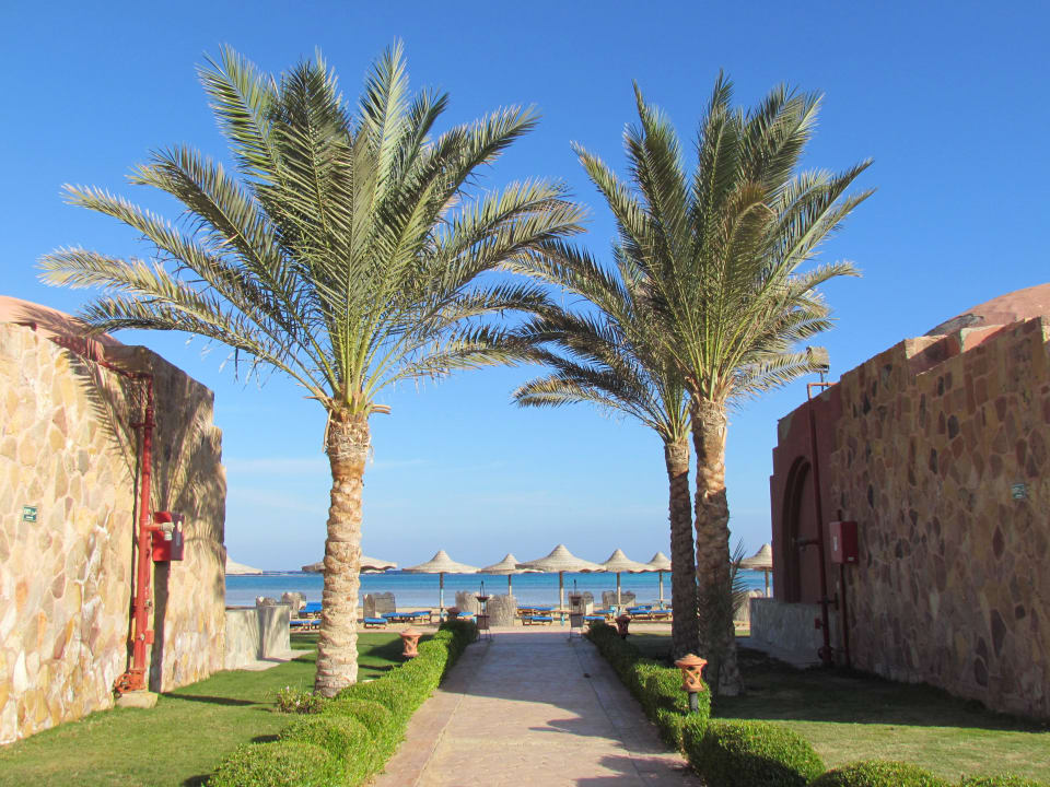 Tolle Ausblicke! Swisstouch Oriental Resort Marsa Alam