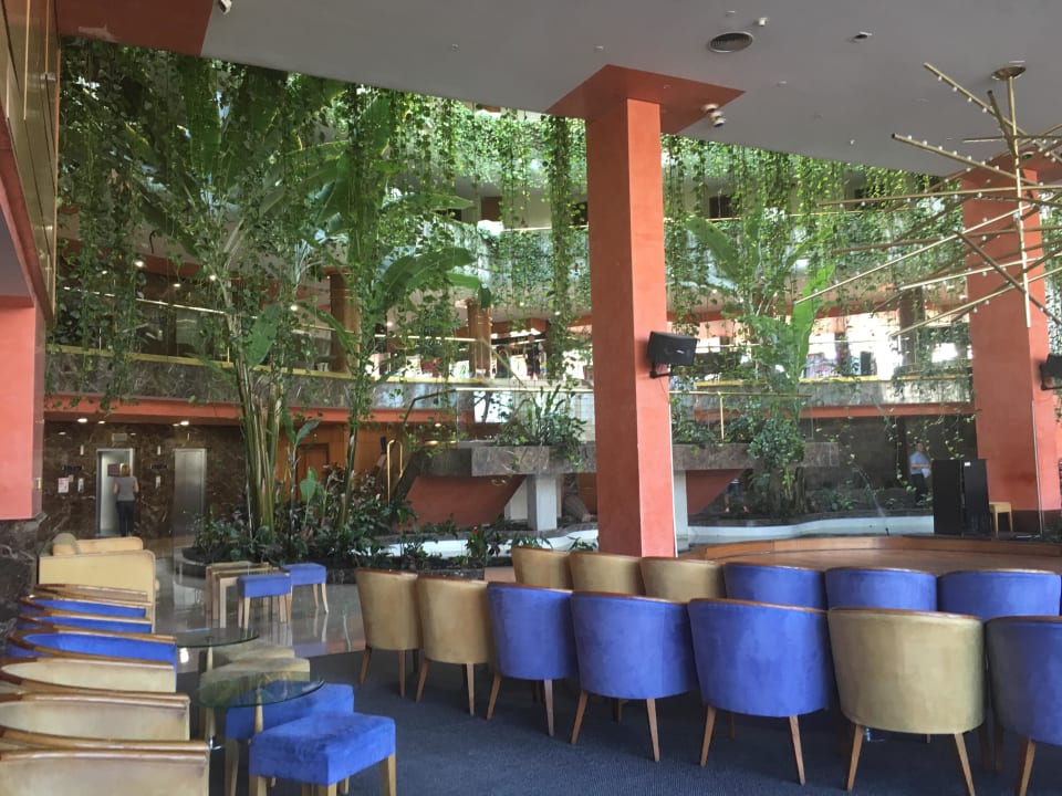 Hier finden die abendlichen Shows statt Alexandre Hotel Gala