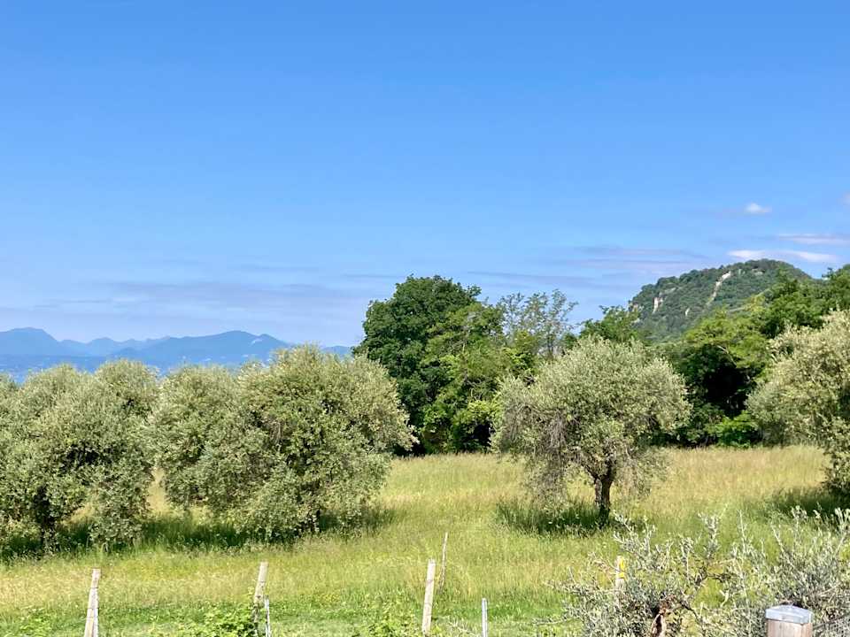 Ausblick Appartements Bellavista