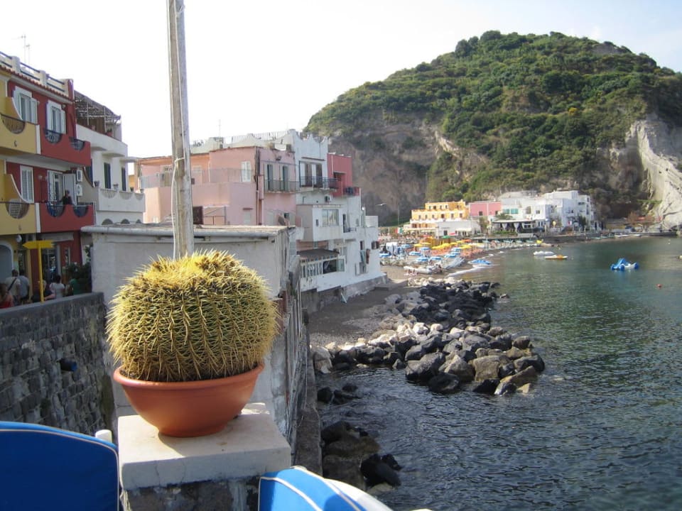 Restaurant-Ausblick Hotel Casa Celestino