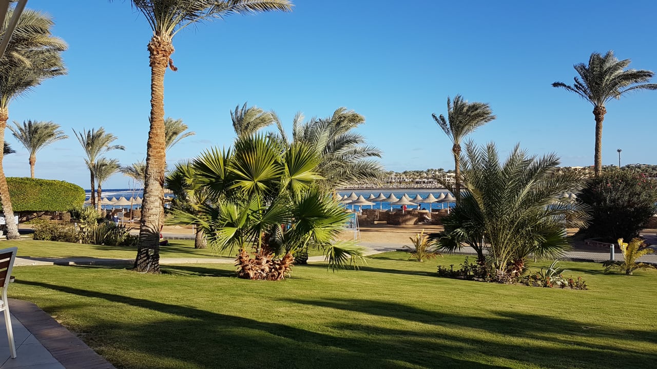 Gartenanlage Steigenberger Coraya Beach - Adults only