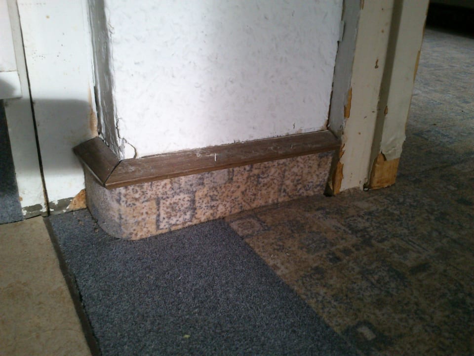 Scheuerleiste und Türrahmen Panoramic - Ihr Apartmenthotel im Harz